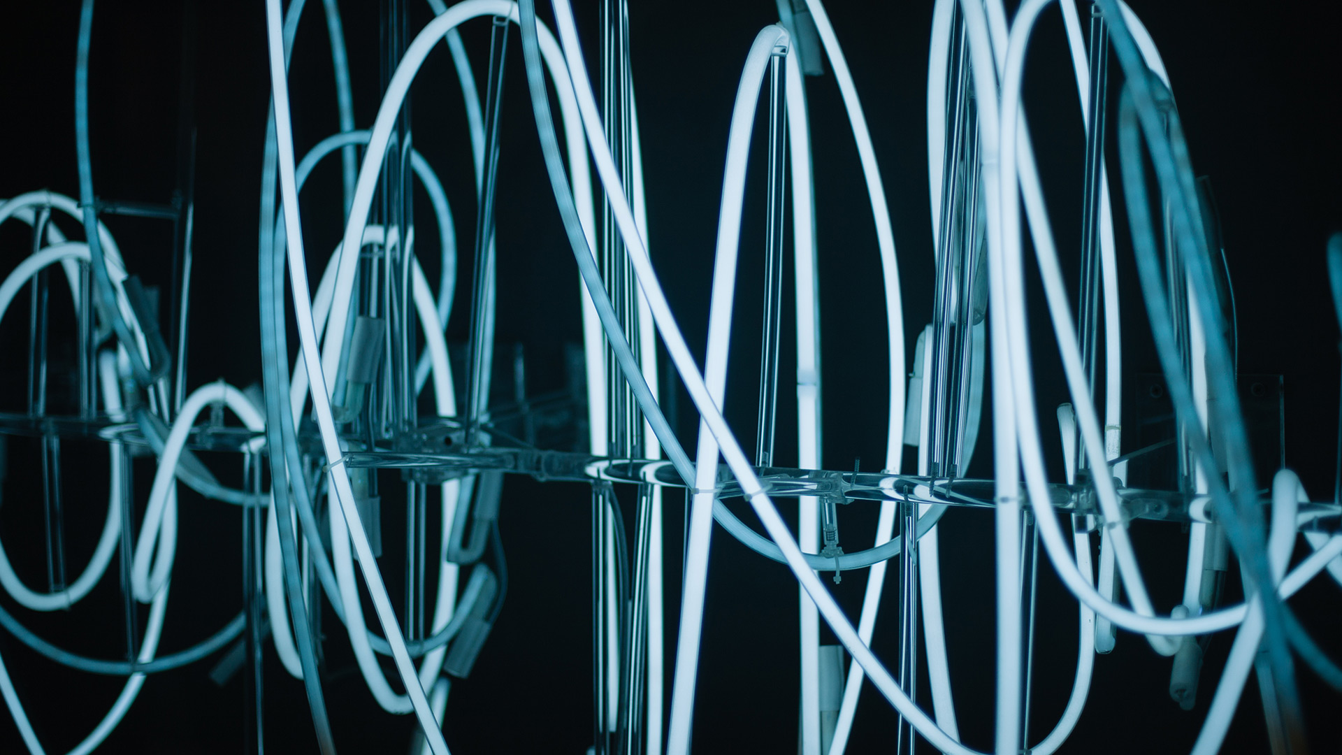 Photo de neons avec des reflets - IA et société - Clem Onojeghuo