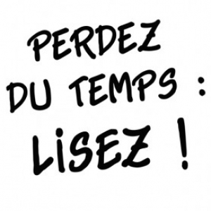 Illustration du profil de groyer